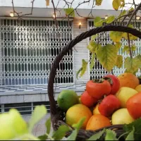 درب آکاردئونی،حفاظ پنجره،آکاردیون،آکاردونی|مصالح و تجهیزات ساختمان|شهریار, شهریار|دیوار