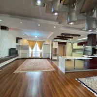 فروش۲۳۰متر آپارتمان دوبلکس ولوکس/ویودریا/کریم آلاد|فروش آپارتمان|تنکابن, |دیوار