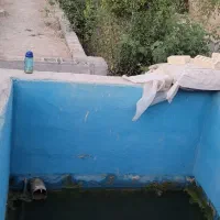 باغ کوشک|فروش خانه و ویلا|خمینی‌شهر, |دیوار