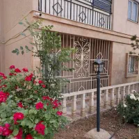 فاز11پردیس-همکف-عرصه-تسویه