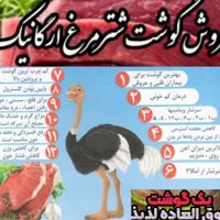 تلویزیون ال ای دی زودپزاجاق گازلوازم برقی پخت پز|اجاق گاز و لوازم برقی پخت‌وپز|یاسوج, |دیوار