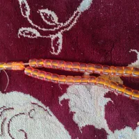 تسبیح سندروس عتیقه