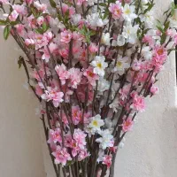 گل صورتی سفید