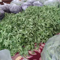 سبزیجات نیشابور