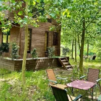 هر صبح با صدای پرندگان بیدار شو..