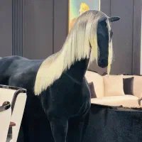 اسب‌ واسه دکور خاص