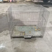 قفس وملزومات