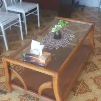 خانم ذاکری کارشناس حقوق