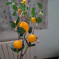 گل مصنوعی