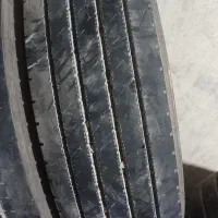 لاستیک ۳۱۵بلک لیون