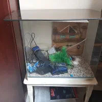 آکواریم شیشه خم