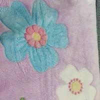 پتو مسافرتی|رختخواب، بالش، پتو|اهواز, کوروش|دیوار