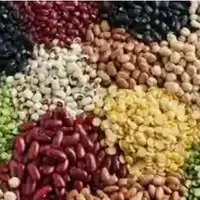 قابل توجه رستورانها،قنادی ها،فعالین کلوچه و خشکار|خوردنی و آشامیدنی|رشت, شهرک صنعتی|دیوار