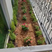 خدمات باغبانی باغچه کاری گل کاری تعویضی خاک گلدان