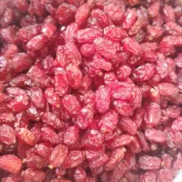 زرشک پفکی