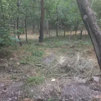 باغ-زمین-روستای-دولت-آباد-پیست-اسکی-شیرباد