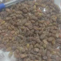 کشمش محلی درجه یک|خوردنی و آشامیدنی|دهگلان, |دیوار