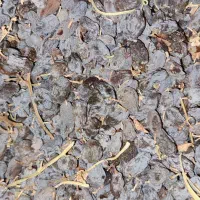 آفتویی بونات|خوردنی و آشامیدنی|مزایجان, |دیوار