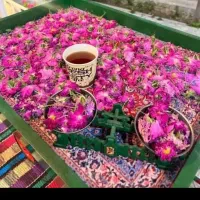 در منزل خودتان همکار ما شوید