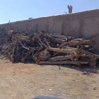 وانت بار  وانت تلفنی وانت سیار توافقی|خدمات حمل و نقل|یزد, |دیوار