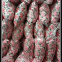 بالشت|رختخواب، بالش، پتو|سبزوار, امیریه|دیوار