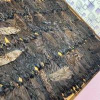 مرکز اصلی خرید مو با بالاترین قیمت|آرایشی، بهداشتی، درمانی|سبزوار, امیر کبیر|دیوار