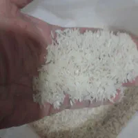 برنج هاشمی. درجه یک سه الکه