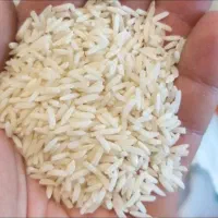 طارم هاشمی خالص ویکدست