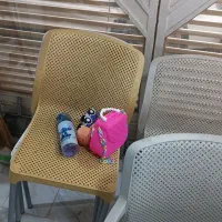 صندلی پلاستیکی|صندلی و نیمکت|قم, قلعه کامکار|دیوار