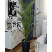 درختچه های کنار سالنی