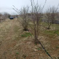 زمین دوراهی گوار 750متر
