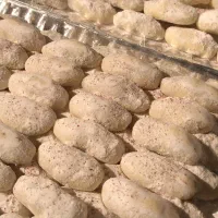 کیک و کوکی های خانگی کیکو|خوردنی و آشامیدنی|ساری, |دیوار