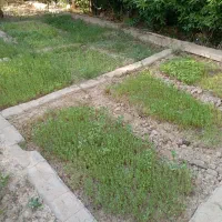 کار باغبانی