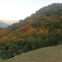 230متر-زمین-داخل-بافت-مسکونی-لکه-زرد