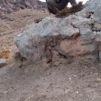 خانه-راه-جدا-85متری