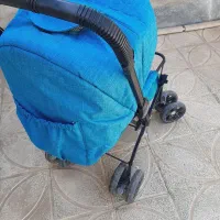 کالسکه دلیجان|کالسکه و لوازم جانبی|کرمان, |دیوار