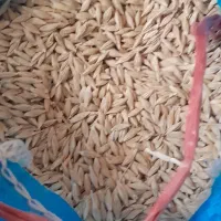 جو توپردرشت برای مصرف کننده