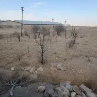 زمین نرسیده به چناران