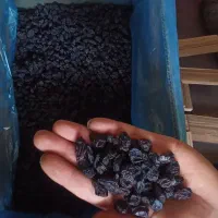 کشمش سیاه بدون هسته(مویز بدون هسته)|خوردنی و آشامیدنی|تاکستان, |دیوار