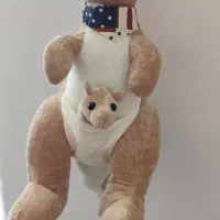 عروسک های پولیشی خارجی|اسباببازی|خرمآباد, |دیوار