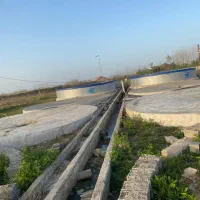 فروش پرورش ماهی ۲ هکتاری تمام‌در طرح هادی|فروش دفتر صنعتی، کشاورزی، تجاری|کیاشهر, |دیوار