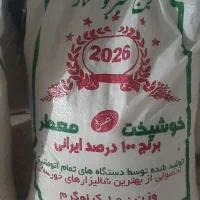 برنج عنبربو خوزستان