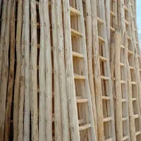 تخته بنایی ساختمانی ونردبان|مصالح و تجهیزات ساختمان|اصفهان, زاجان|دیوار