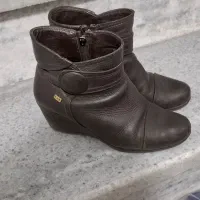 کیف و کفش مجلسی|کیف، کفش، کمربند|بیجار, |دیوار