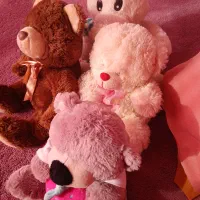 فروش عروسک|اسباببازی|لاهیجان, شهید آوینی|دیوار