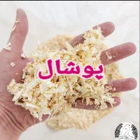 همستر|موش و خرگوش|مشگین شهر, |دیوار
