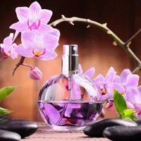 استخدام فروشنده خانم