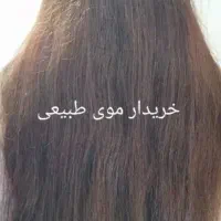 خرید و فروش موی طبیعی بالای ۵۵ سانت خام و رنگی