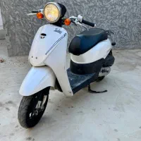 پاکشتی هندا تودی