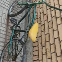 دوچرخه|دوچرخه، اسکیت، اسکوتر|مبارکه, |دیوار